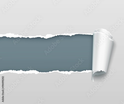 Vector realistic torn and twisted paper strip on light gray background