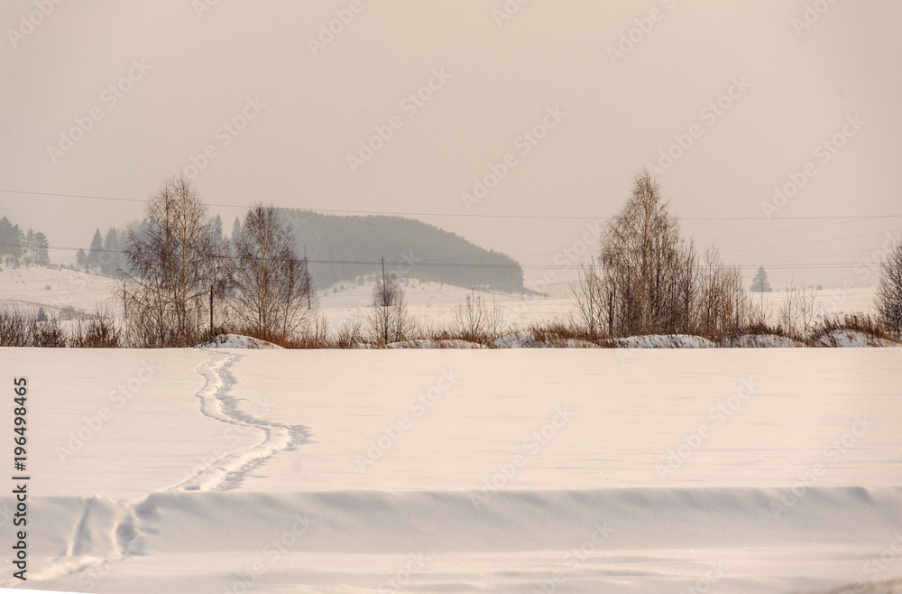 Path in the snow-covered field