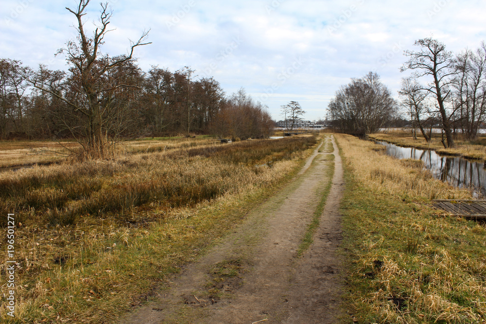 Swamp national park the biesbosch in the Netherlands in autumn Swamp national park the biesbosch in the Netherlands in autumn