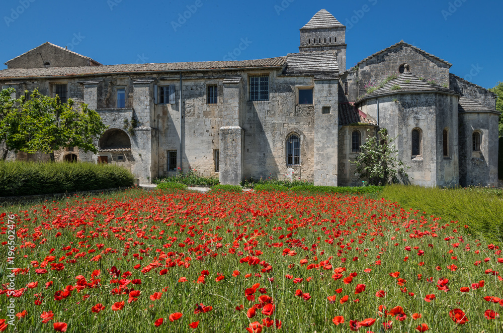 Poppies at Monastery