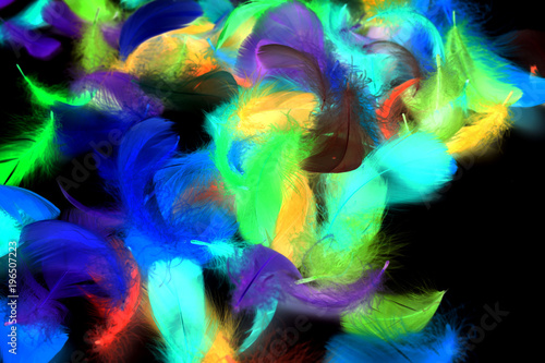 Multi-colored feathers on a black background