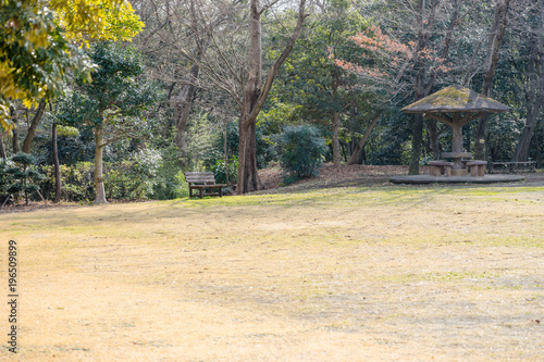 Wallpaper Mural 冬の柿田川公園 Torontodigital.ca