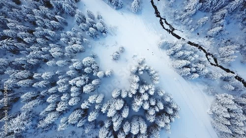 Winter season snowy mountain forest aerial shot. Breathtaking natural landscape, frozen forest and dark mountain river