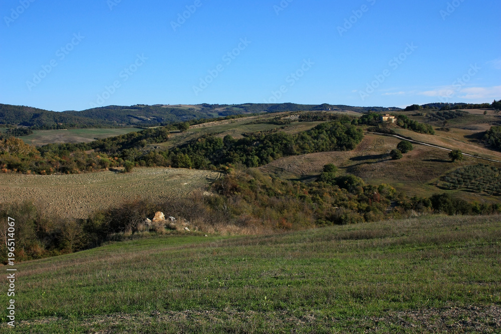 Cultivated fields in Tuscany, Italy
