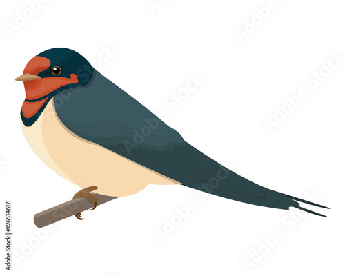 swallow vector illustration style flat side front
