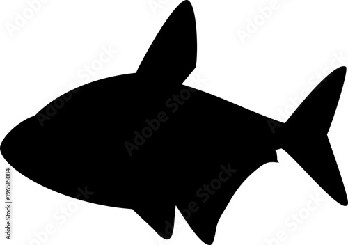 Silhouette of tetra aquarium fish