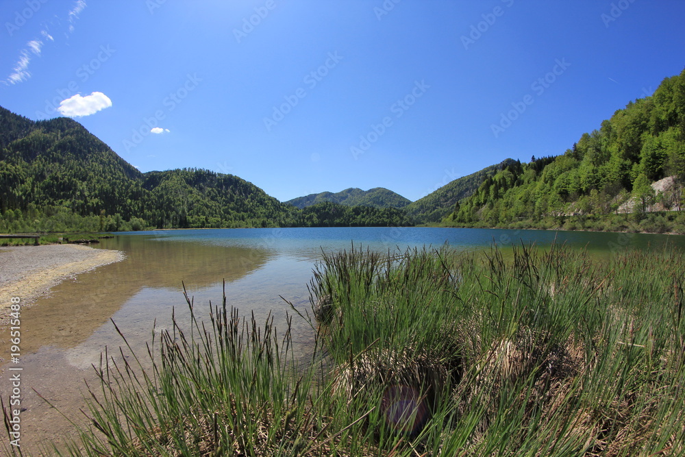 Naturschutzgebiet See Landschaft Naturschutzgebiet See Landschaft