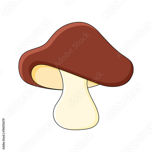 boletus mushroom cartoon design isolated on white background