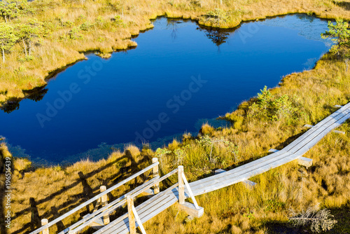 Great Kemeri bog (Lielais Kemeru tirelis) in sunny autumn day, Latvia photo