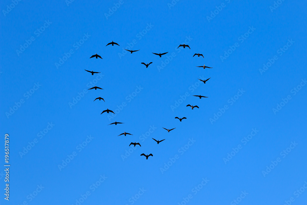 heart of birds flying in the in the blue sky. The birds fly towards the screen. The sun shines in the middle of the heart with sun rays emerging outwards from the center of the heart heart of birds flying in the in the blue sky. The birds fly towards the screen. The sun shines in the middle of the heart with sun rays emerging outwards from the center of the heart