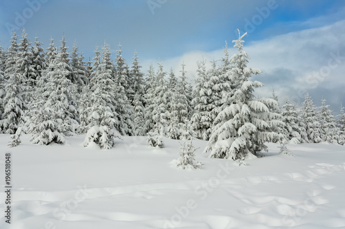 Beautiful Snow-covered Carpathians © slava2271