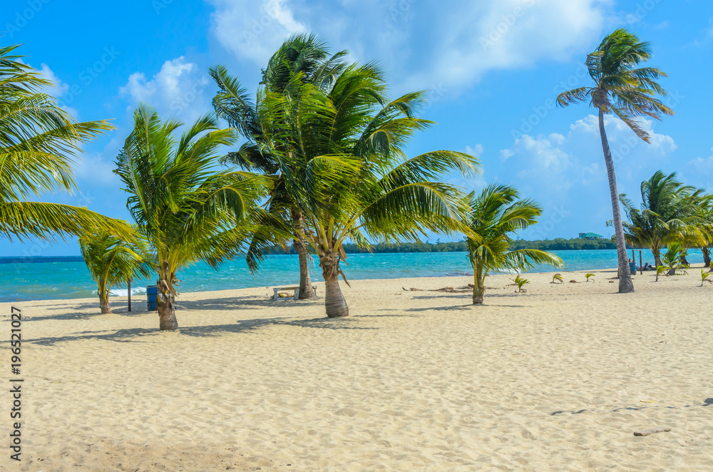 Paradise beach in Placencia, tropical coast of Belize, Caribbean Sea, Central America. Paradise beach in Placencia, tropical coast of Belize, Caribbean Sea, Central America.