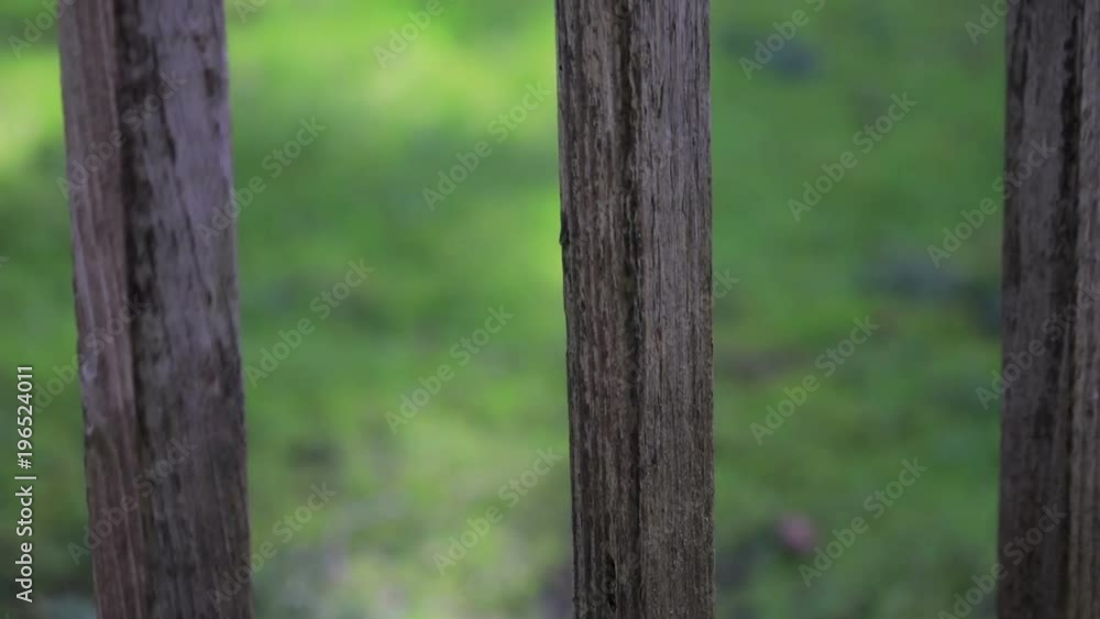 scratched wooden hand rail scratched wooden hand rail
