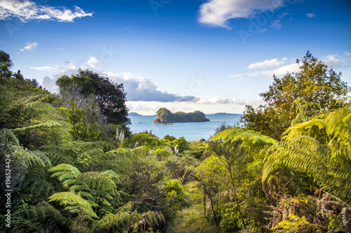 Overlooking the Pacific Ocean as the sun sets spectacularly over Cathedral Cove on the Coromandel Peninsula on the North Island of New Zealand near Auckland. photo