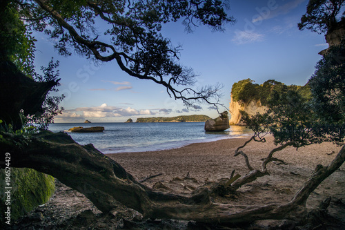 Overlooking the Pacific Ocean as the sun sets spectacularly over Cathedral Cove on the Coromandel Peninsula on the North Island of New Zealand near Auckland.