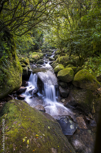 Water cascades down a stream from Wairere Falls on the North Island of New Zealand  near Auckland.
