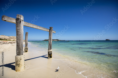 Breathtakingly clear water and white sand on a picturesque summer afternoon in Hamelin Bay  Western Australia.