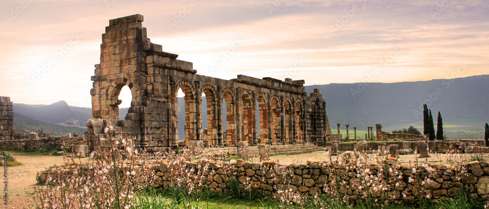 Fototapeta premium Volubilis, Roman city of antiquity in Morocco