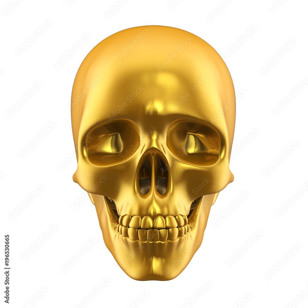 Obraz premium Golden Human Skull Isolated
