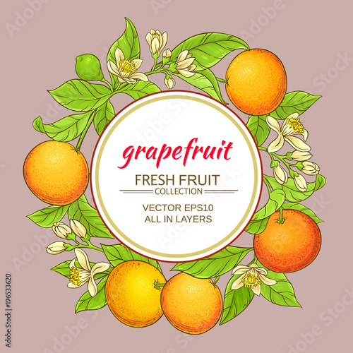 grapefruit vector frame