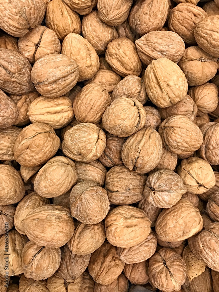 PIle of walnuts in their shells PIle of walnuts in their shells