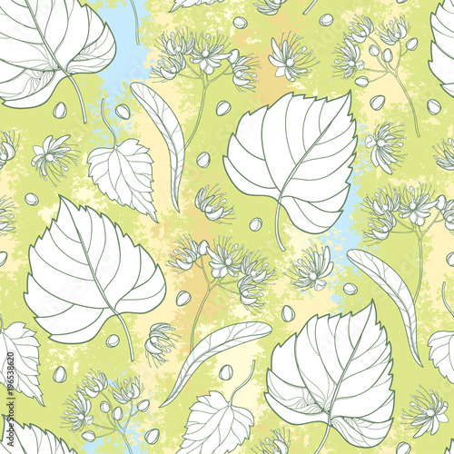 Vector seamless pattern with outline Linden or Tilia or Basswood flower bunch, bract, fruit and ornate leaf on the textured pastel green background. Contour Linden for summer design.