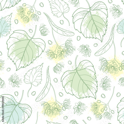 Vector seamless pattern with outline Linden or Tilia or Basswood flower bunch, bract, fruit and ornate leaf in pastel green on the white background. Contour Linden for summer design.