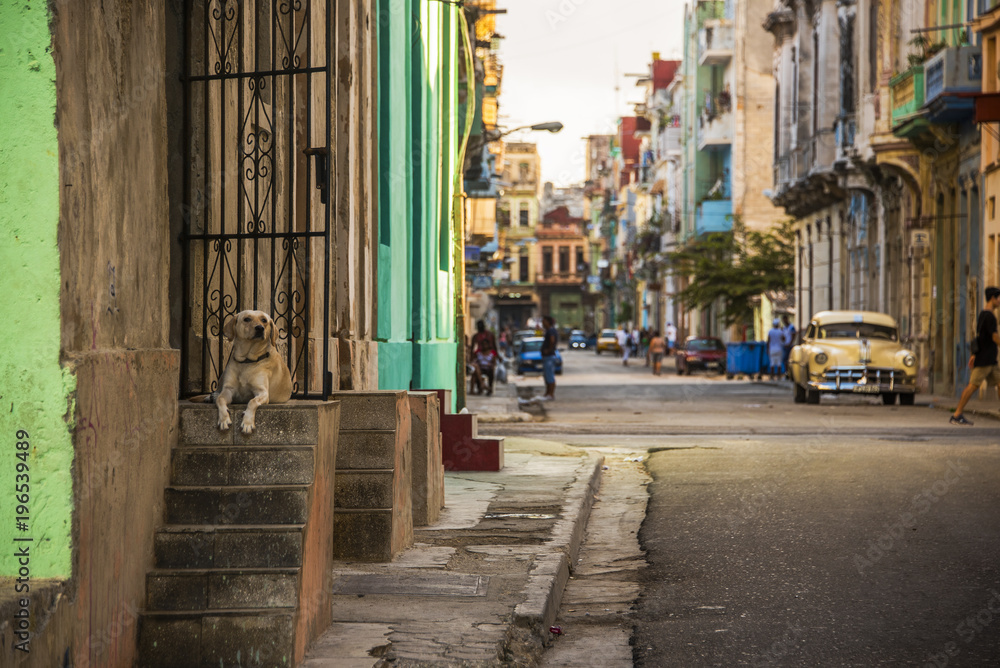 Havana Street 