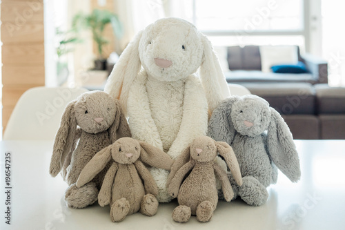 lop eared plush bunnies photo