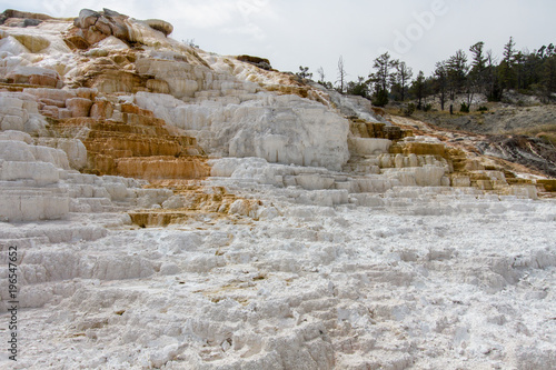 Wallpaper Mural Palette Spring 8 Torontodigital.ca