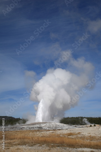 Old Faithful - steaming geyser and forest at Wyoming park