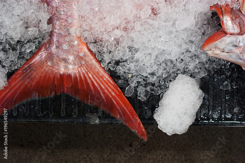 Fotografía Opah at the Fishmarket