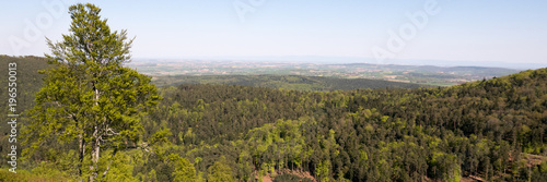 Vue sur la plaine d'Alsace