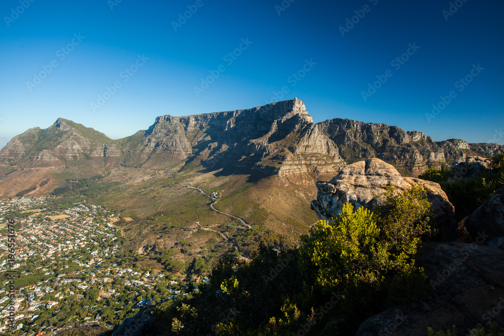 View of the Table Mountain on a sunny Day with blue Sky - seen from Lion's Head in Cape Town, South Africa