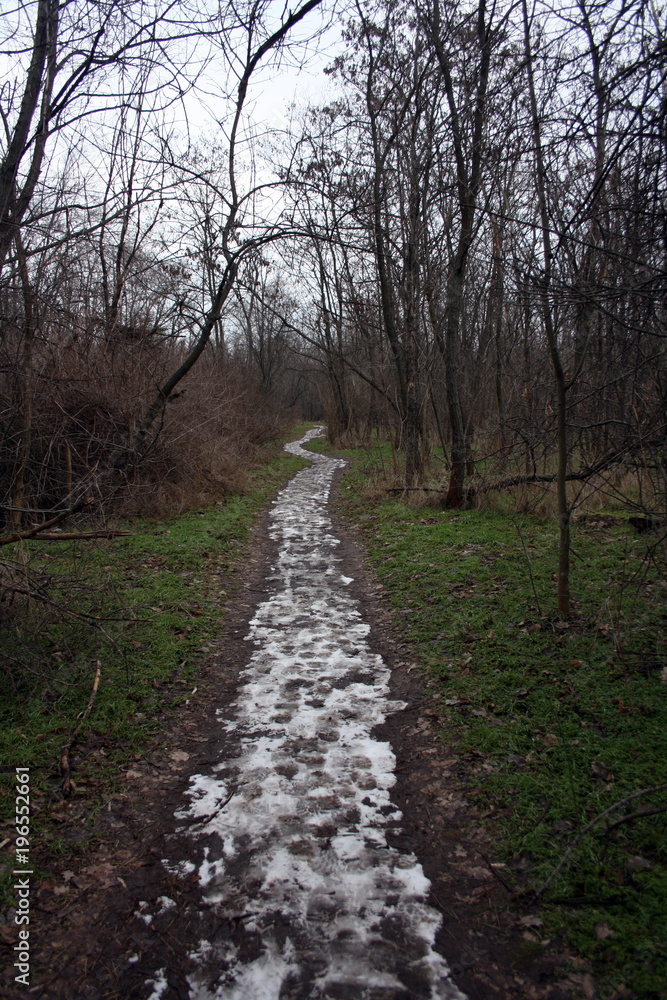 The road in the spring forest covered with snow