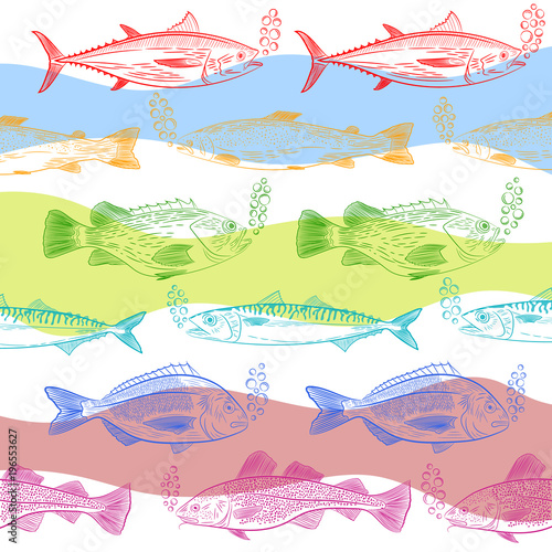 A set of popular marine fish. Multicolored pattern. Tuna, cod, dorado, salmon, sea bass, mackerel and painted oxygen bubbles. Sketch, vector illustration