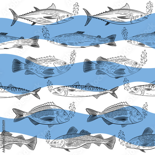 A set of popular sea fish floating in different directions. Tuna, cod, dorado, salmon, sea bass, mackerel and oxygen bubbles. Sketch, vector illustration