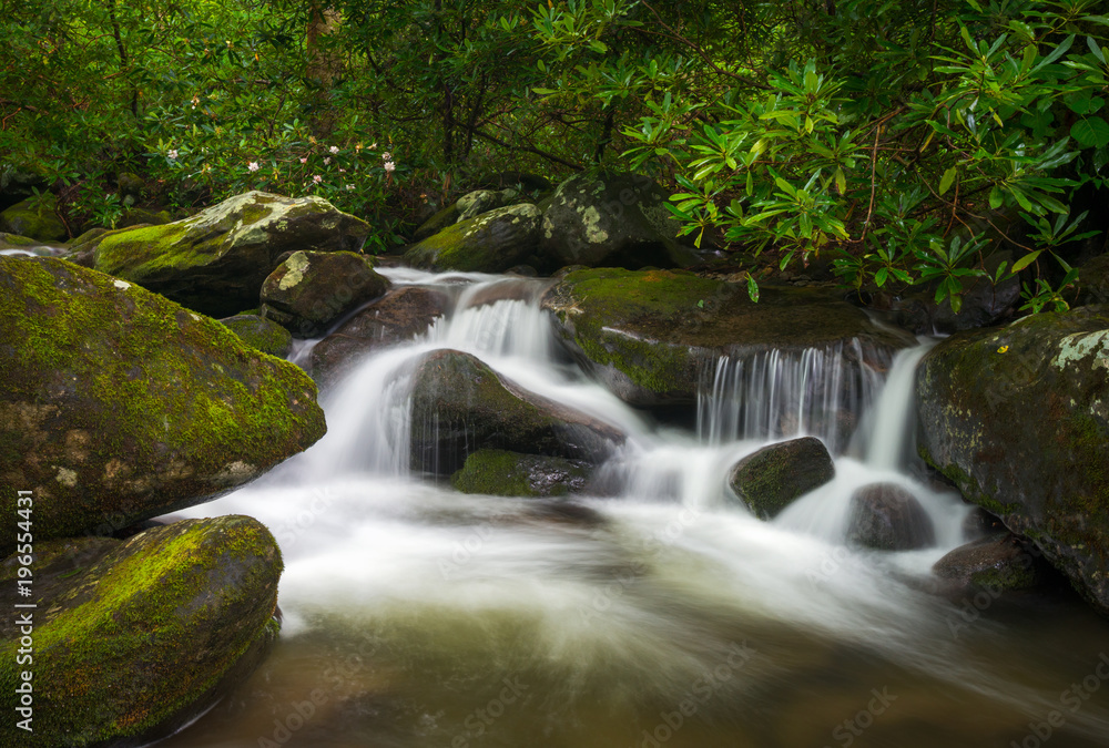 Great Smoky Mountains TN Roaring Fork Nature Waterfall Scenic Landscape Gatlinburg Tennessee