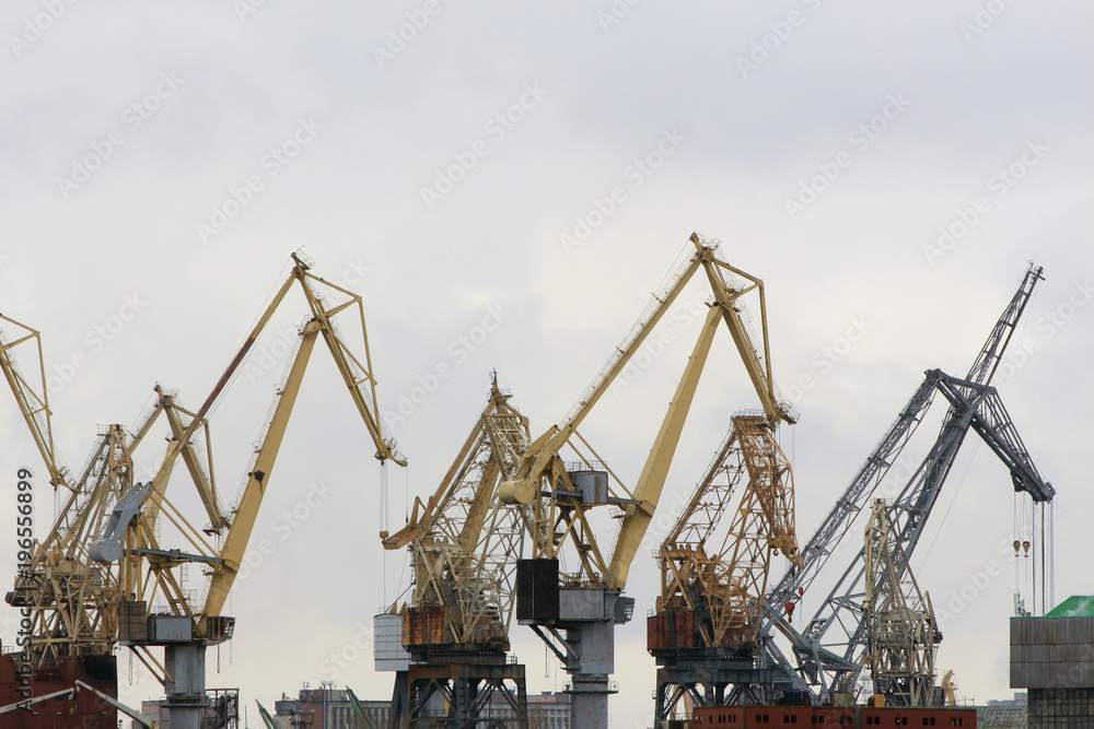 high freight cranes in port