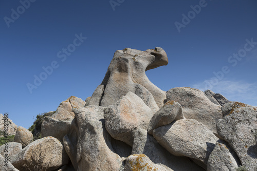 Rock shape of an animal in Sardinia