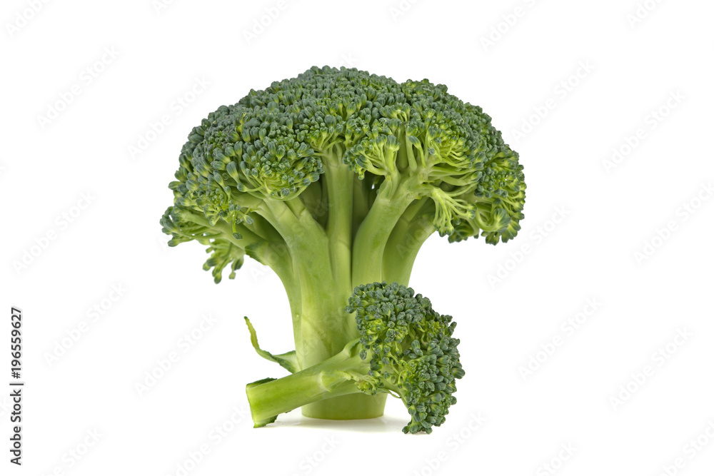 green fresh broccoli isolated on white background green fresh broccoli isolated on white background