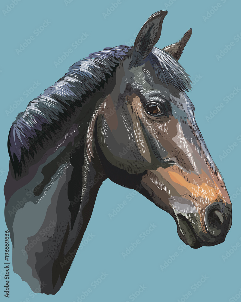 Colorful Horse portrait-10