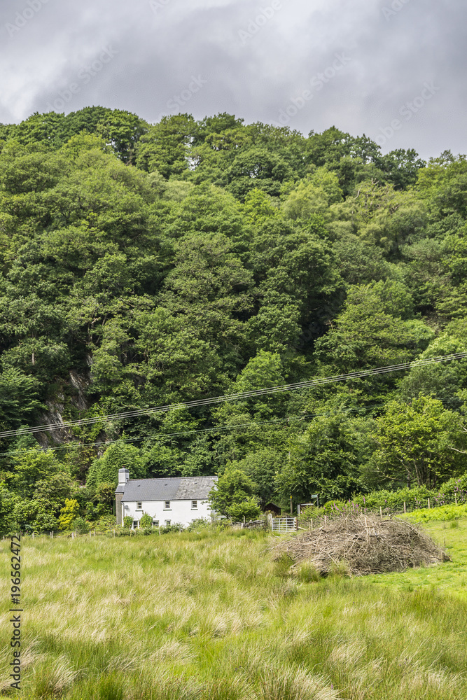 Countryside View on Fields, Trees and a House Under Cloudy Sky