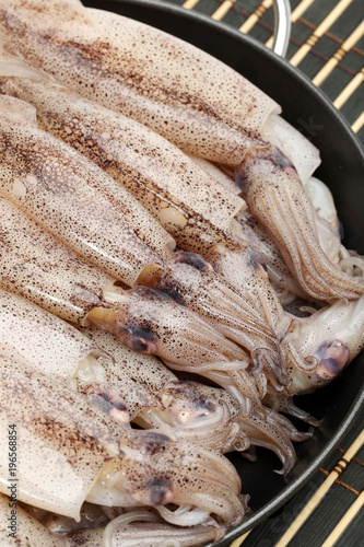 freshly caught squid