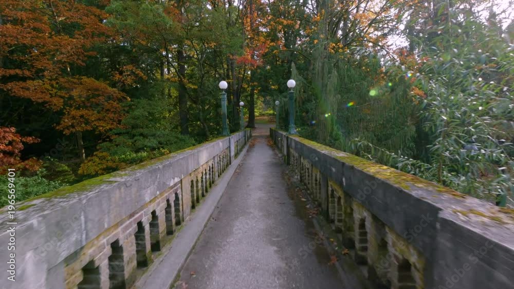 Old bridge in the autumn park. Video in motion along the bridge. Nature video. Park landscape. Washington park arboretum, Seattle, WA, USA. 4K, 3840*2160, high bit rate, UHD Old bridge in the autumn park. Video in motion along the bridge. Nature video. Park landscape. Washington park arboretum, Seattle, WA, USA. 4K, 3840*2160, high bit rate, UHD