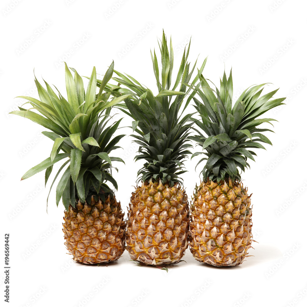 Pineapple on white background Pineapple on white background