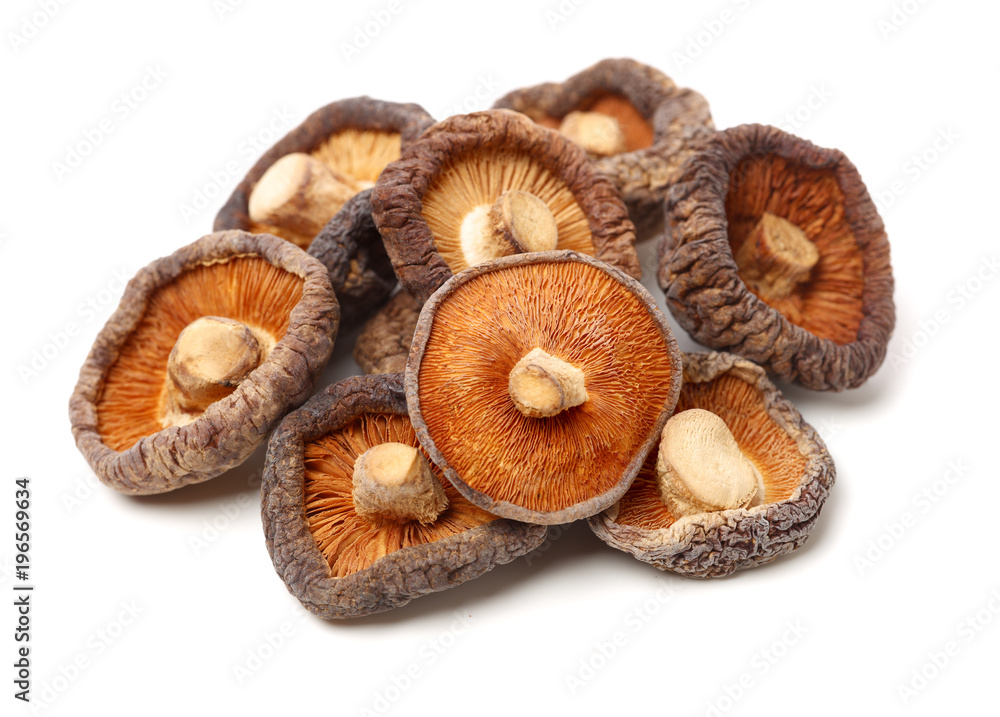 shiitake Mushroom crisps on white background shiitake Mushroom crisps on white background