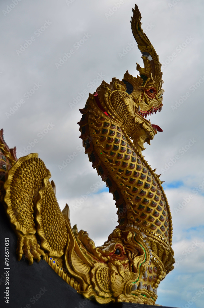 Fototapeta premium dragón