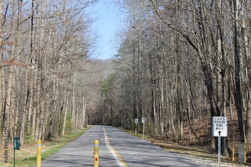 Lonely road at the forest and cold winter day