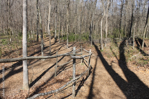 Lonely trail at the forest 